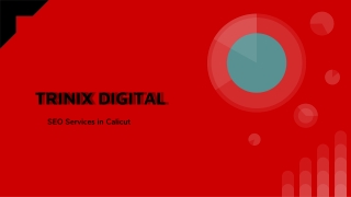 2023 - Best SEO Services in Calicut