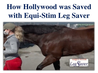 How Hollywood was Saved with Equi-Stim Leg Saver