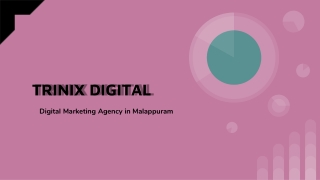 Best Digital Marketing Agency in Malappuram, Edappal