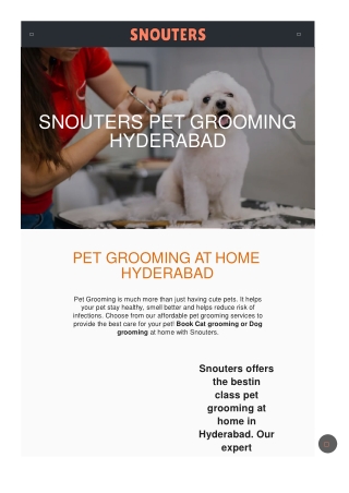 Professional Pet Grooming Services in Hyderabad