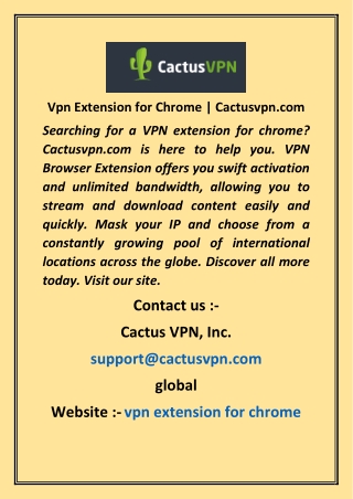 Vpn Extension for Chrome  Cactusvpn com