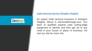 Mold Removal Service Arlington Heights Zeromoldchicago.com