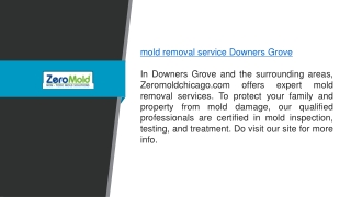 Mold Removal Service Downers Grove Zeromoldchicago.com