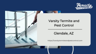Varsity Termite and Pest Control | Glendale, AZ