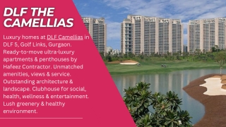 DLF The Camellias Brochure Pdf