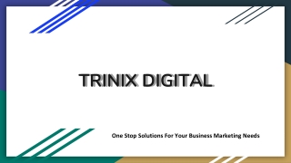 Digital Marketing Company in Kerala | Digitalize Your Business With Us