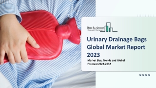 Urinary Drainage Bags Market Size, Opportunities, Trends And Demand 2023-2032