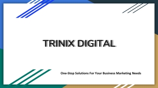 Best Digital Marketing Experts in Calicut, Kozhikode