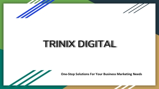 Best Digital Marketing Partner in Malappuram - Trinix Digital