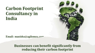 Businesses can benefit significantly from reducing their carbon footprint