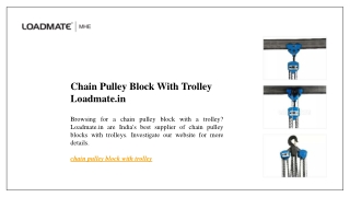 Chain Pulley Block With Trolley Loadmate.in