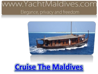 Cruise The Maldives