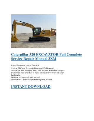 Caterpillar 320 EXCAVATOR Full Complete Service Repair Manual 3XM