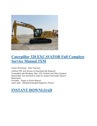 Caterpillar 320 EXCAVATOR Full Complete Service Manual 3XM