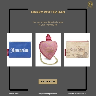Harry Potter bag