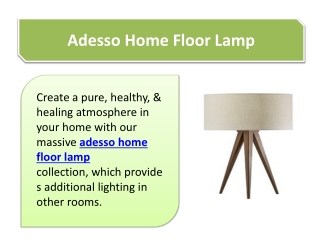 Adesso Home Floor Lamp