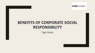 Benefits Of Corporate Social Responsibility - Tiger Global