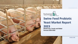 Swine Feed Probiotic Yeast Global Market By Form, By Application, By Sales Channel, Opportunity Analysis and Industry Fo