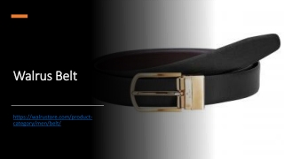 Walrus Belt