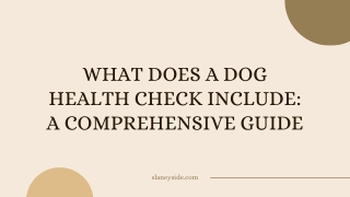 What Does a Dog Health Check Include A Comprehensive Guide - Slaneyside Kennels