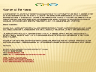 Haarlem Oil For Horses