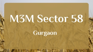 M3M Sector 58 Gurgaon - PDF