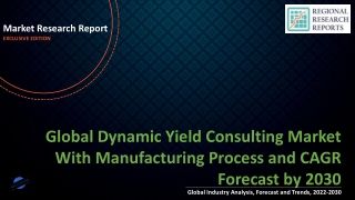 Dynamic Yield Consulting Market With Manufacturing Process and CAGR Forecast by 2030