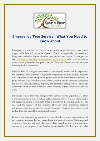 Emergency Tree Service - What You Need to Know about
