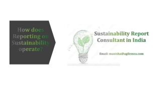 How does Reporting on Sustainability operate