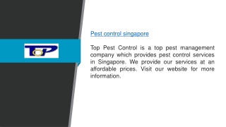 Pest Control Services in Singapore