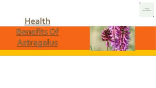 Health Benefits Of Astragalus