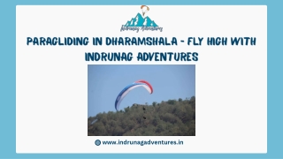 Paragliding in Dharamshala - Fly High with Indrunag Adventures