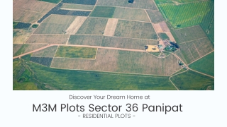 M3M Plots Sector 36 Panipat  - PDF