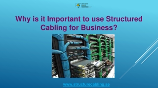 Why is it Important to use Structured Cabling for Business