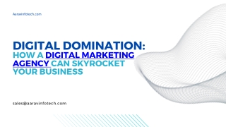 DIGITAL DOMINATION