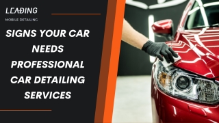 Signs Your Car Needs Professional Car Detailing Services