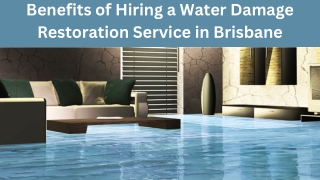 Benefits of hiring a water damage restoration service in Brisbane