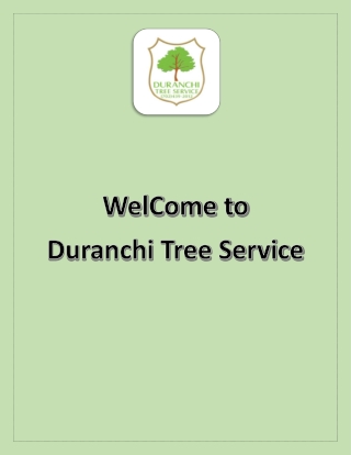 Cheap Tree Removal Near me - Tree Removal Service