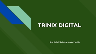 Digital Marketing Company in Kerala, Calicut | Trinix Digital