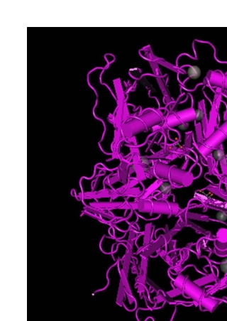 Ceruloplasmin Antibody Market