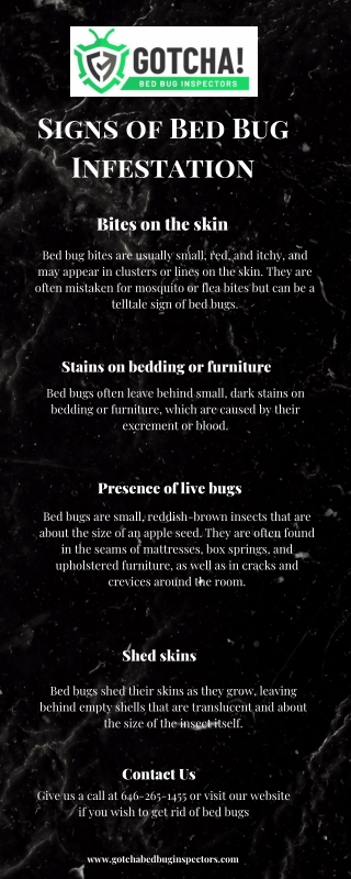 Signs of Bed Bug Infestation