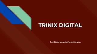 Best Digital Marketing Agencies in Calicut, Kozhikode