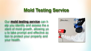 mold testing Service