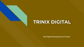 Best SEO Companies in Calicut, Kozhikode - Trinix Digital