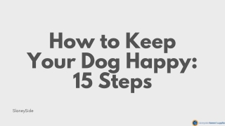 How to Keep Your Dog Happy 15 Steps - Slaneyside Kennels