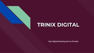 Search Engine Optimization Services in Kozhikode, Calicut