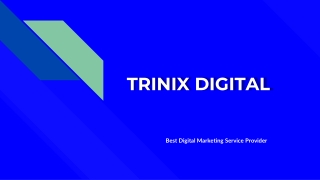 Best SEO Company in Kerala, Kozhikode