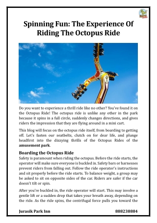 Spinning Fun: The Experience Of Riding The Octopus Ride