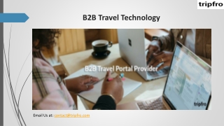 B2B Travel Technology