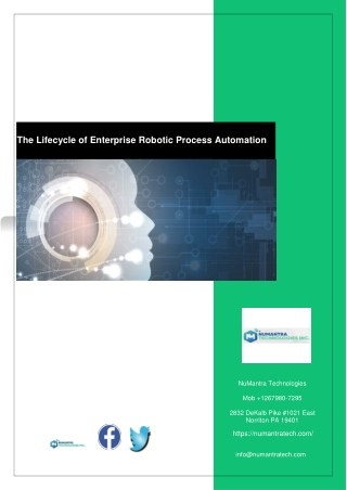 The Lifecycle of Enterprise Robotic Process Automation